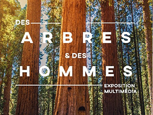 20210909_arbres_expo.png